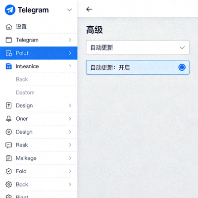 Telegram电脑客户端设置界面中自动更新选项的位置截图